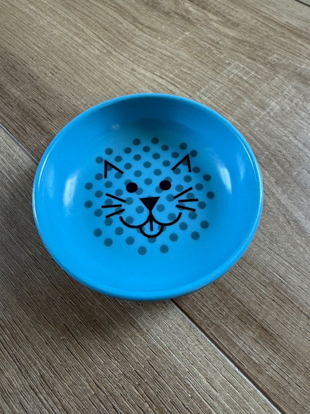 Adorable ecoware cat bowl brand new with tags